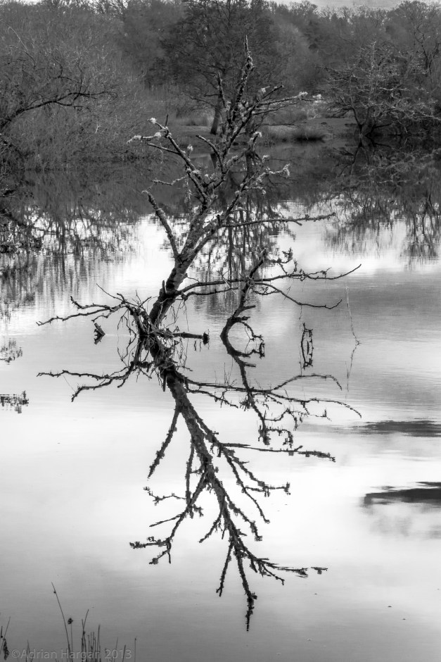 Endrick in a bleak mood